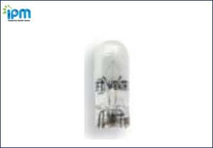 WEDGE BASE GLOBES (W2.1X9.6D)